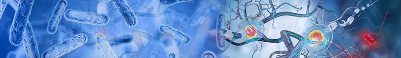 Công ty TNHH Điền Giang