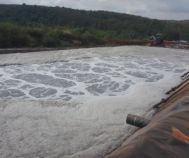 Địa Chỉ Cung Cấp Men Vi Sinh Hiếu Khí Chất Lượng TPHCM | Giá Cực Tốt