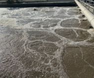 Tìm Hiểu Đơn Vị Cung Cấp Men Kỵ Khí Chất Lượng 