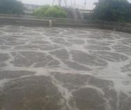 Hiện Trạng Bùn Phát Sinh Từ Hệ Thống Xử Lý Nước Thải