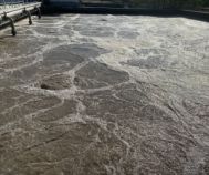 Cung Cấp Men Vi Sinh Kỵ Khí Chất Lượng | Mức Giá Ưu Đãi | Chỉ Tại Điền Giang