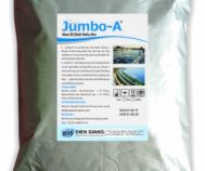 Phương Pháp Men Vi Sinh Xử Lý Bể Hiếu Khí