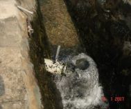 Gợi Ý Địa Chỉ Mua Men Kỵ Khí Chất Lượng Giá Tốt