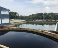 Nước Thải Ngành Dệt Nhuộm Hại Môi Trường Như Thế Nào?