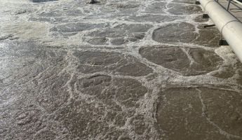 Tìm Hiểu Đơn Vị Cung Cấp Men Kỵ Khí Chất Lượng 