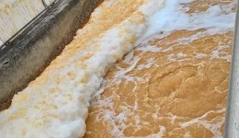 Phân Phối Men Vi Sinh Hiếu Khí HCM | Xử Lý Nước Thải Triệt Để | 100% Chính Hãng
