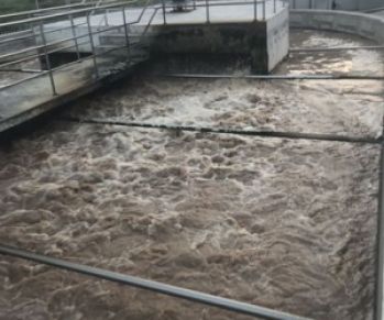 Địa Chỉ Đơn Vị Bán Men Hiếu Khí Uy Tín Trên Thị Trường