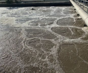 Tìm Hiểu Đơn Vị Cung Cấp Men Kỵ Khí Chất Lượng 