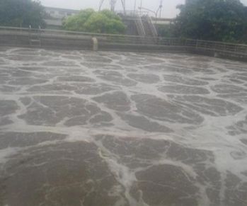 Hiện Trạng Bùn Phát Sinh Từ Hệ Thống Xử Lý Nước Thải