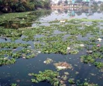 Hiện Trạng Mùi Hôi Ở Nguồn Nước Gây Ảnh Hưởng Sức Khỏe