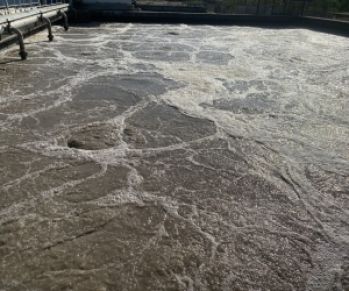 Cung Cấp Men Vi Sinh Kỵ Khí Chất Lượng | Mức Giá Ưu Đãi | Chỉ Tại Điền Giang