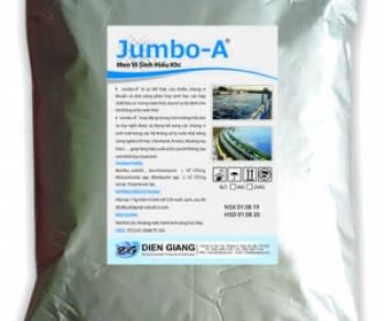 Phương Pháp Men Vi Sinh Xử Lý Bể Hiếu Khí