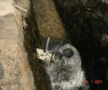 Gợi Ý Địa Chỉ Mua Men Kỵ Khí Chất Lượng Giá Tốt