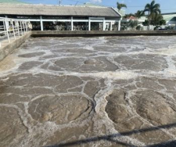 Tìm Mua Men Kỵ Khí Ở TPHCM Giá Rẻ-Chất Lượng