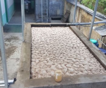 Nơi Bán Men Vi Sinh Kỵ Khí Giá Tốt Nhất | Cam Kết Chính Hãng