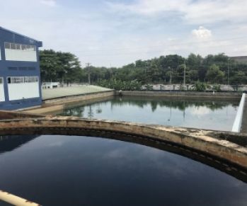 Nước Thải Ngành Dệt Nhuộm Hại Môi Trường Như Thế Nào?