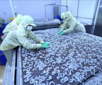 Tác Động Của Ngành Chế Biến Thủy Hải Sản Với Môi Trường